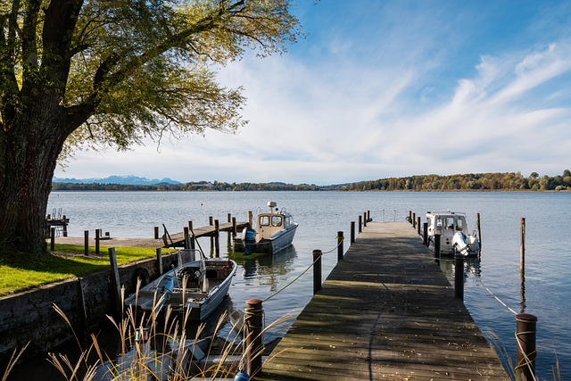 人队的整体 人队的整体