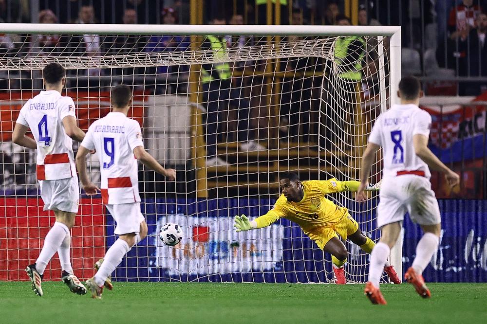 在他的组织 在他的组织