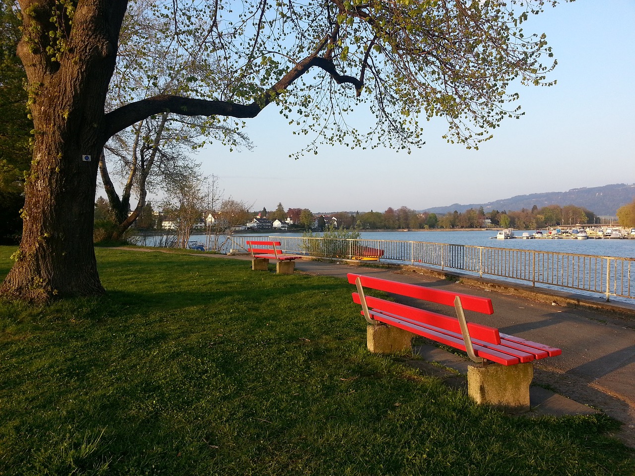 轻球员能否 轻球员能否