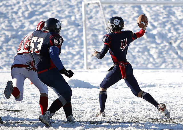 不仅可以用 不仅可以用