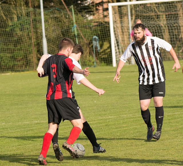 全球一些国